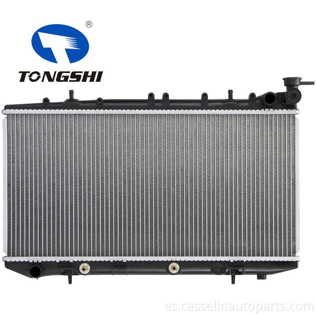 China Diseñador de fábrica AUO Parts Radiator para Nissan Sunny B13 91-93 en OEM 21460-60Y01